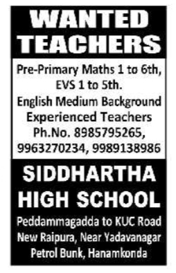 Job Opening: Pre-Primary & Primary School Teachers