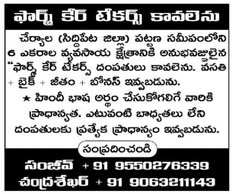 Job Opportunity: Farm Caretakers near Cheriyal