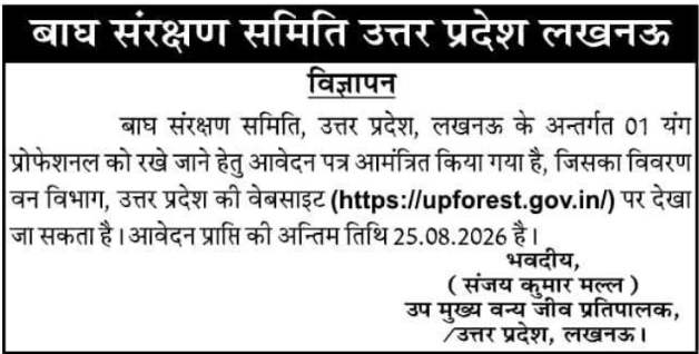 Recruitment Advertisement for Young Professional