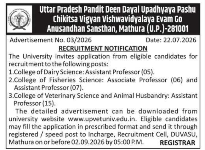 Recruitment Notification for University Faculty Positions