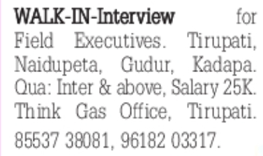 Think Gas Office: Field Executive Walk-In Interviews