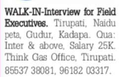 Walk-In Interview for Field Executives at Think Gas
