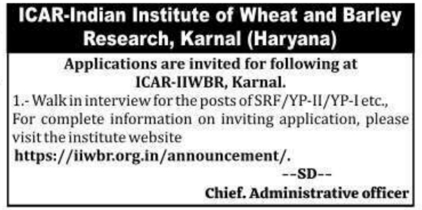 Walk-In Interview for Research Positions at ICAR-IIWBR Karnal