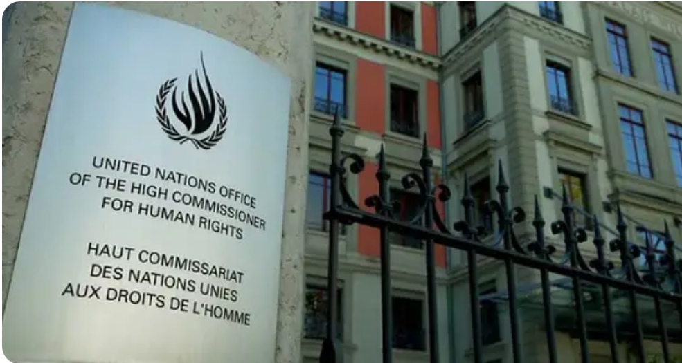 OHCHR Minorities Fellowship 2026 Switzerland (Fully Funded)