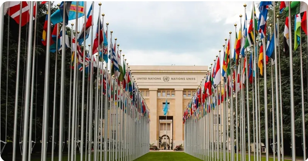 UN Nippon Foundation Fellowship 2026 – Fully Funded