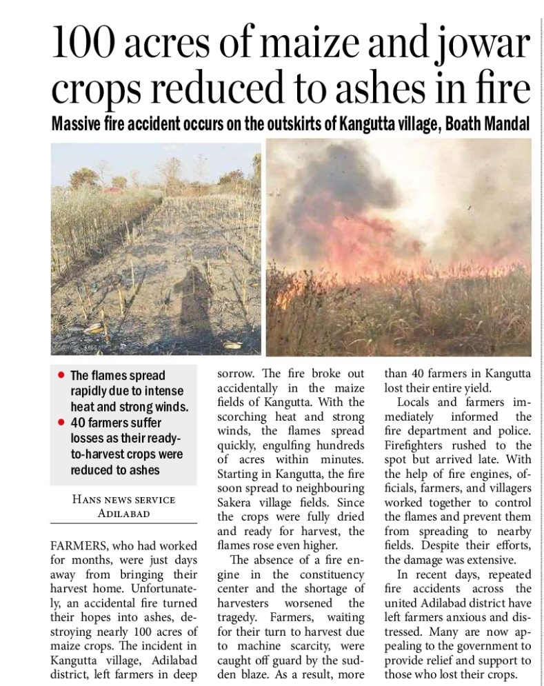 100 acres of maize and jowar crops reduced to ashes in fire Massive fire accident occurs on the outskirts of Kangutta village, Boath Mandal
