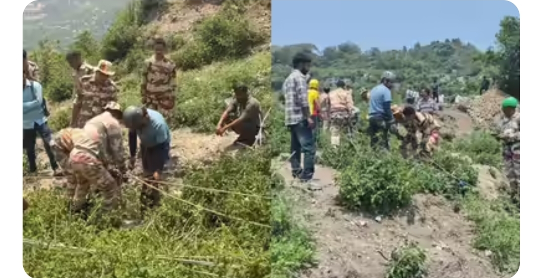 4 tourists die as car falls into gorge near Mussoorie