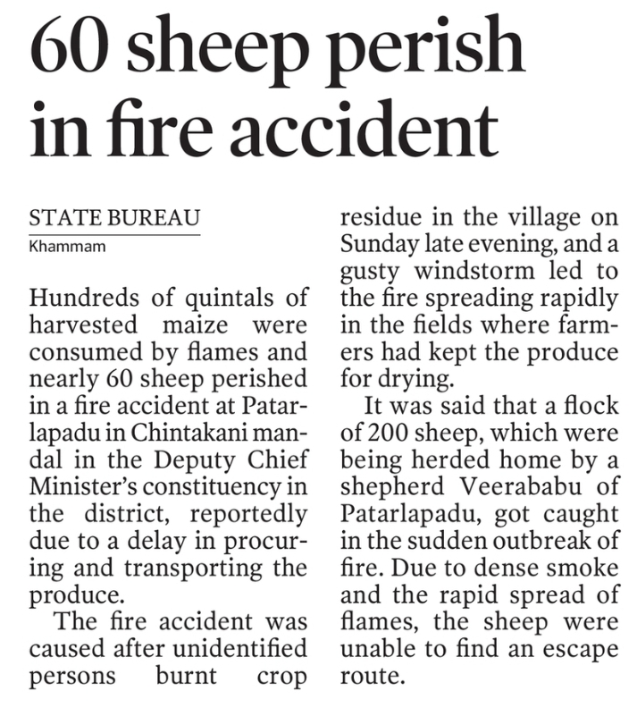 60 sheep perish in fire accident