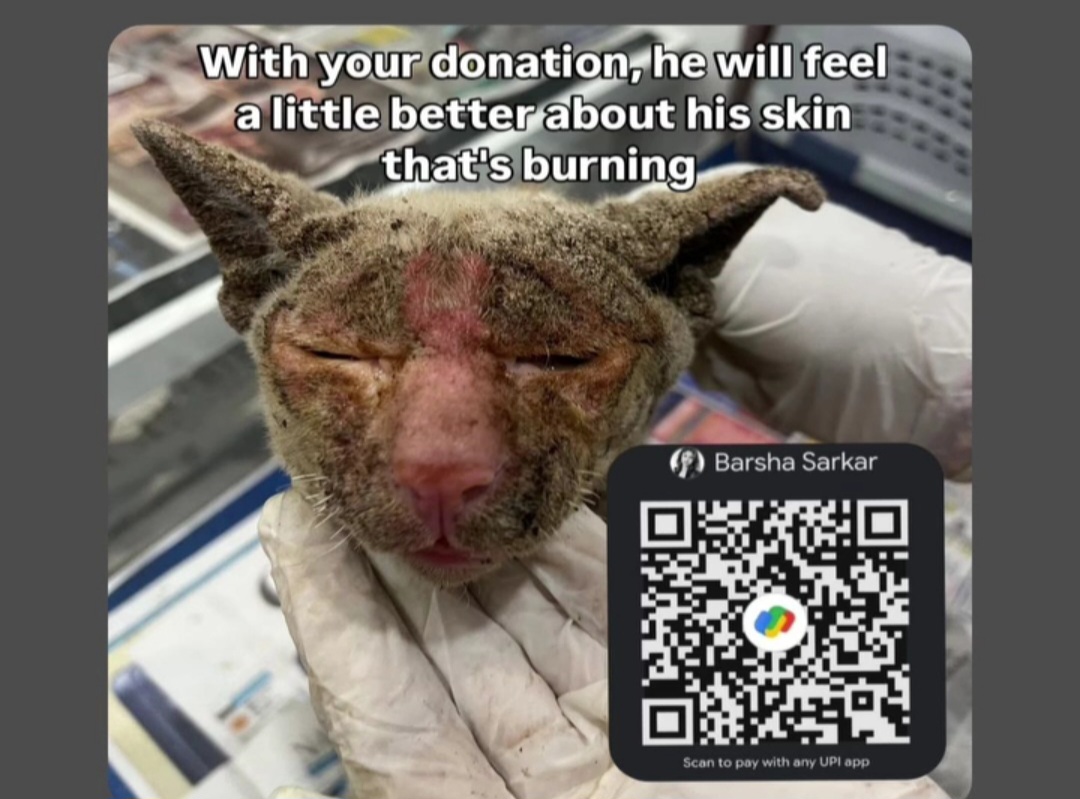 A Small Help Can Ease His Pain