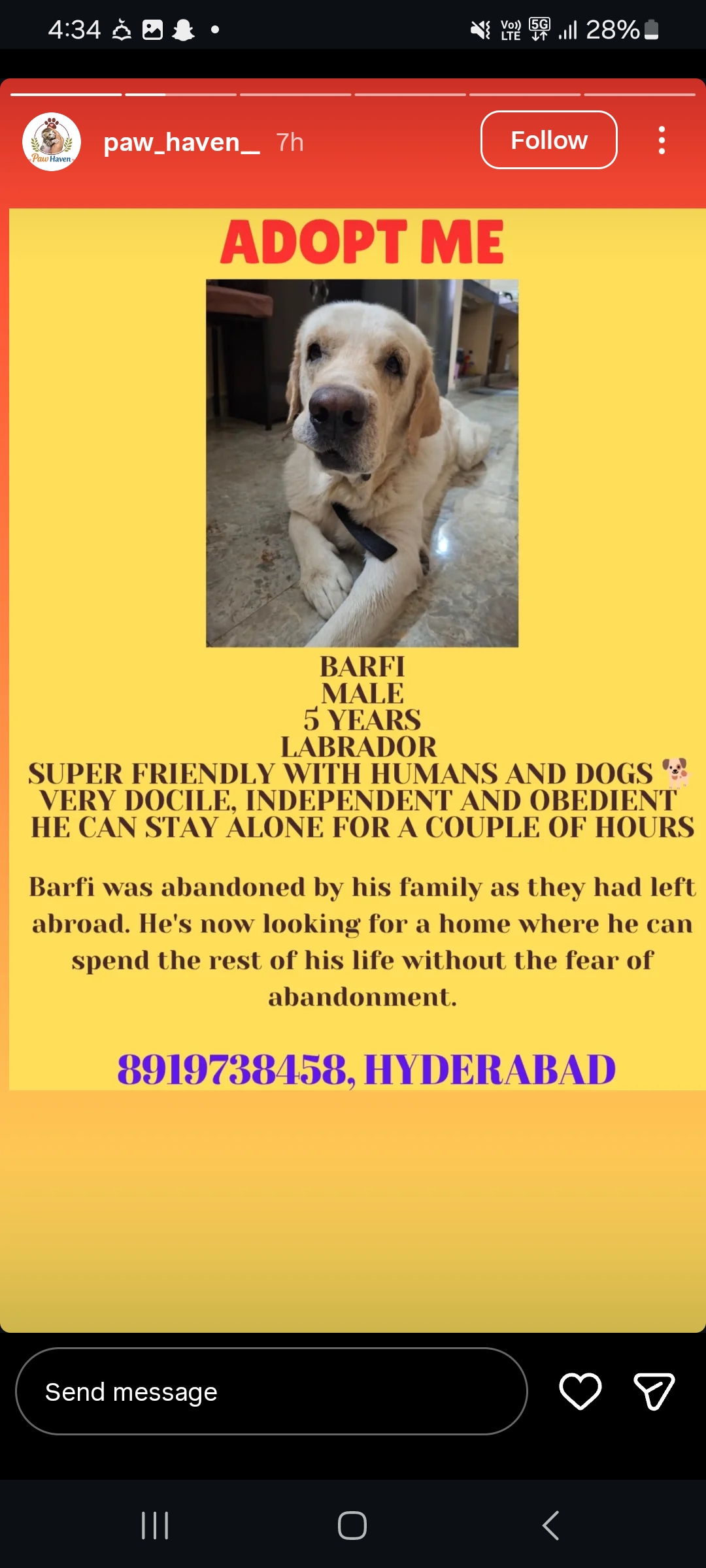 ADOPT BARFI 🐾