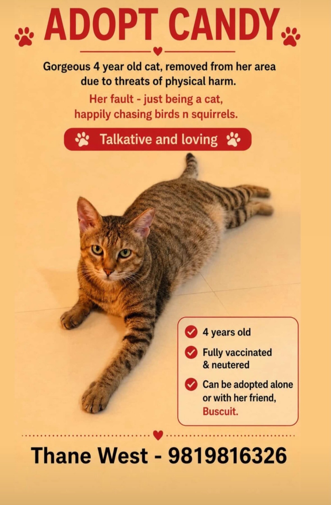 ADOPT CANDY