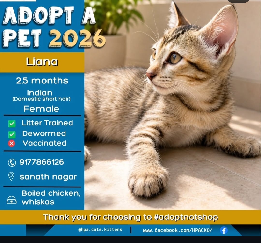 Adopt Liana
