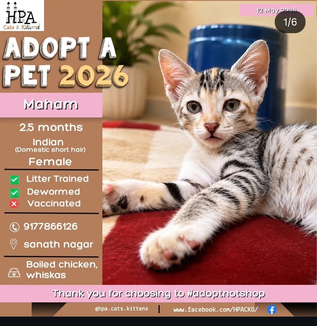 Adopt Maham