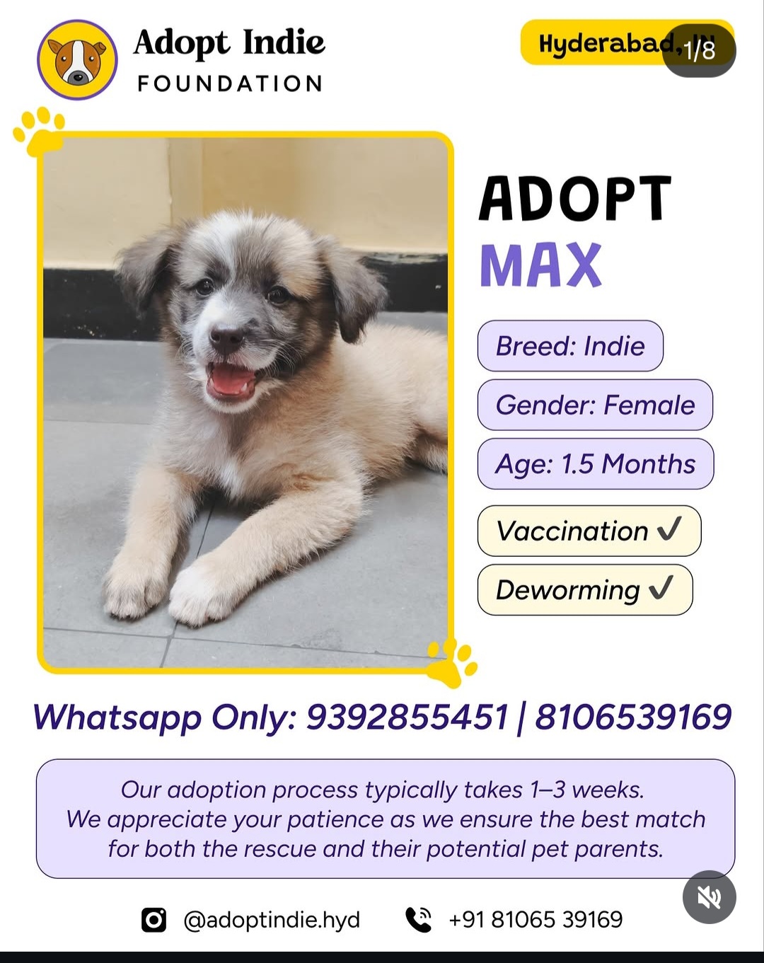 ADOPT MAX