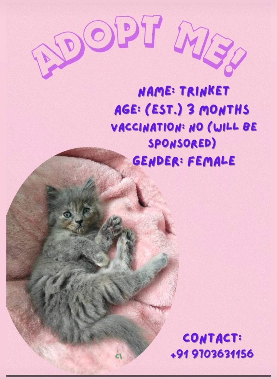 🐾 ADOPT ME – TRINKET 🐾