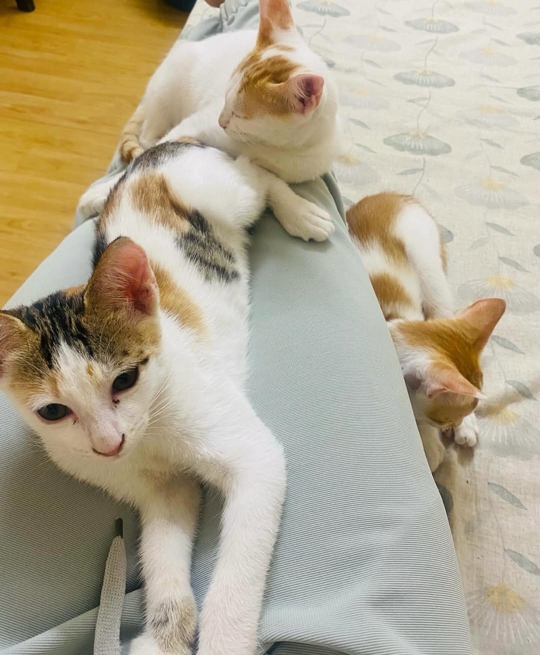 Adoption Post – Radha & Jui (Siblings)