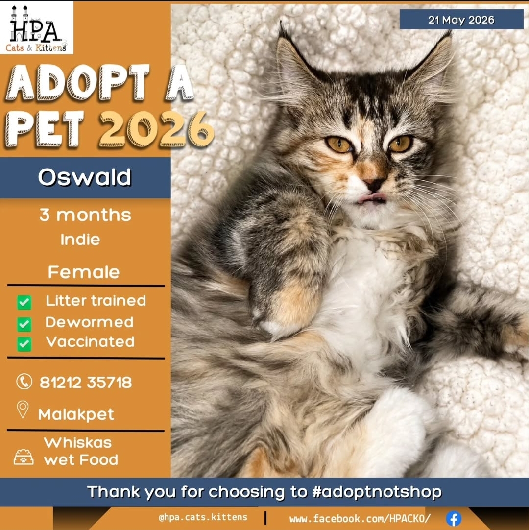 ADOPTION POST