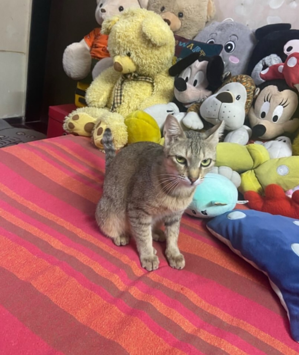 Adoption Post