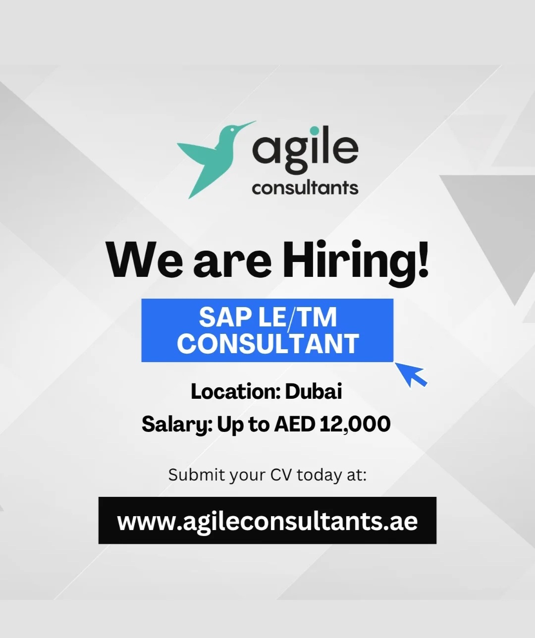 AGILE CONSULTANTS – WE ARE HIRING