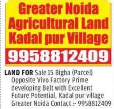 🌾 Agricultural Land for Sale – Kadarpur Village, Greater Noida