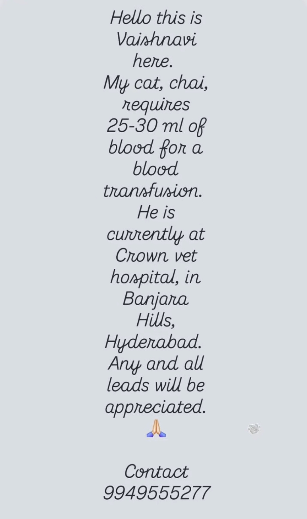 Cat Blood Donor Needed – Hyderabad