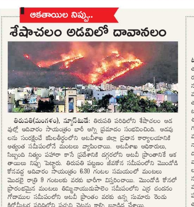 Forest Fire Breaks Out in Seshachalam Hills Near Tirupati