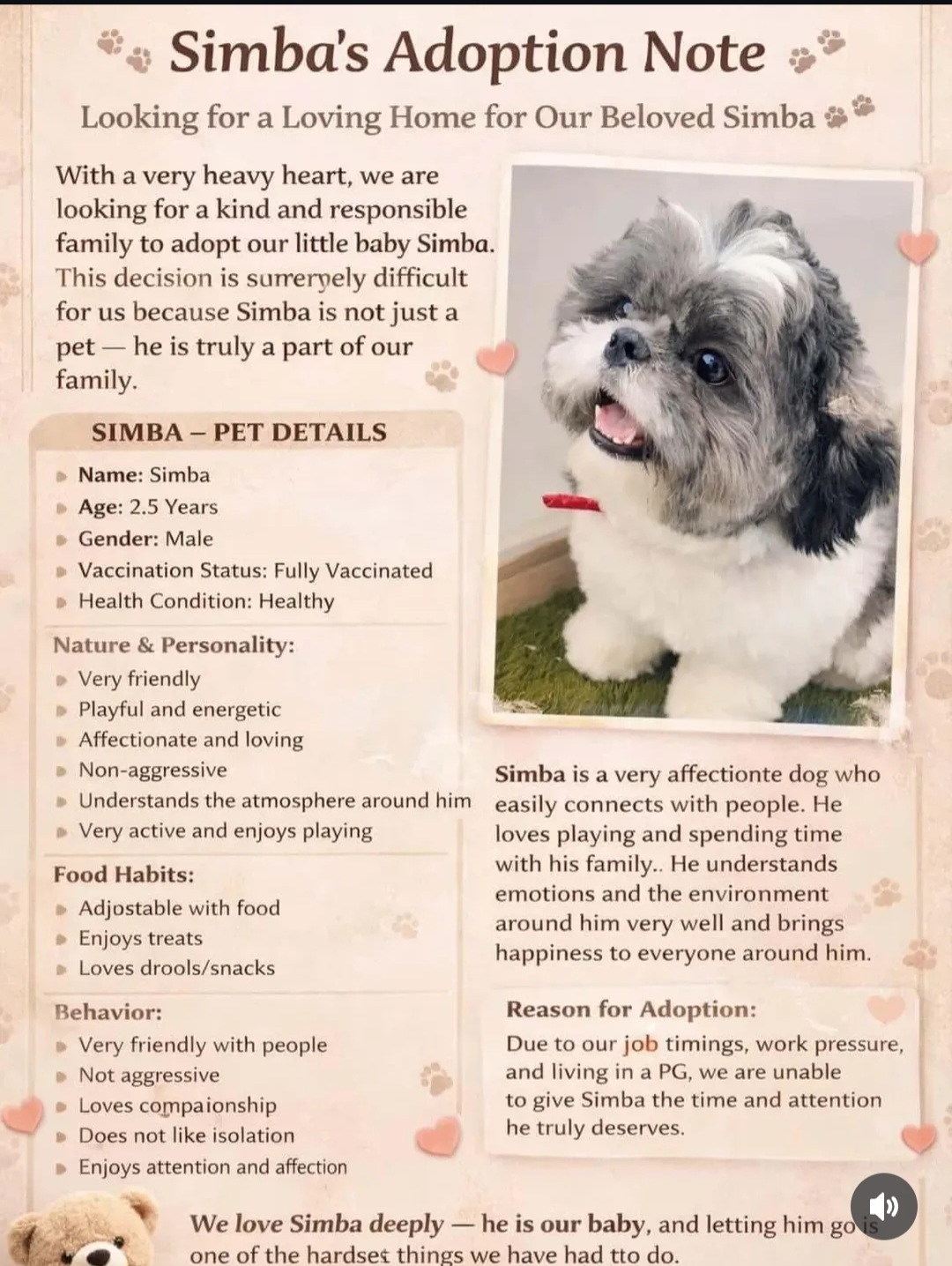 🐾 Looking for a Loving Home – Meet Simba! 🐾