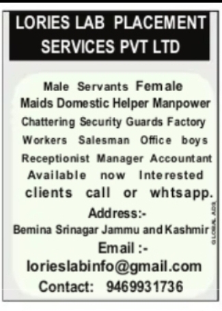 Manpower Supply Services