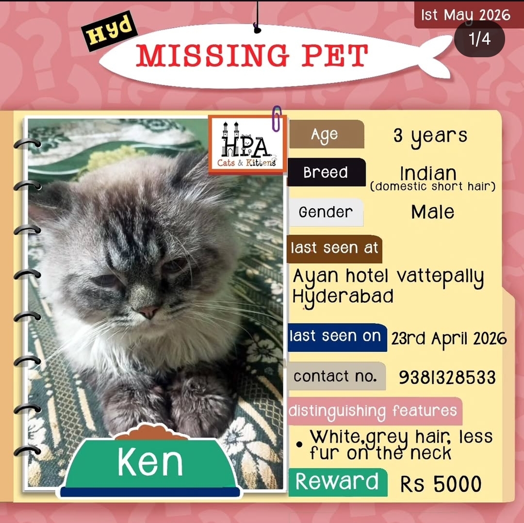 🐾 Missing Cat Alert (Vattepally, Hyderabad)