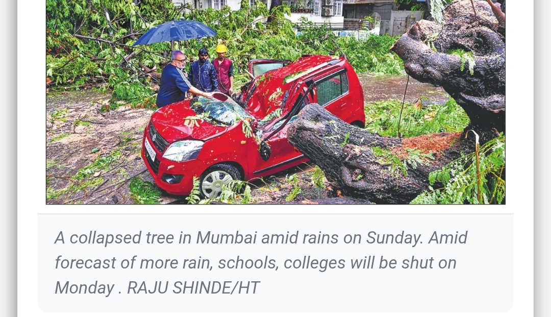 Mumbai rain: 6 killed in chawl cave-in, 2 more in tree collapses