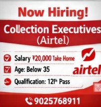 Need collection executives ( Airtel company) below location: