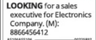 Sales Executive – Electronics Company