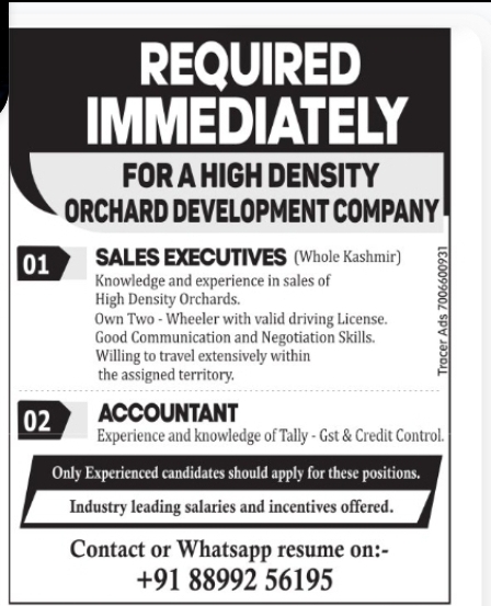 Sales Executives and Accountant Required