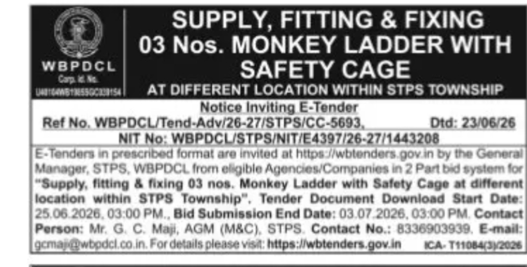 Supply, Fitting & Fixing of Monkey Ladder with Safety Cage (STPS Township)