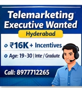 Telemarketing Executive