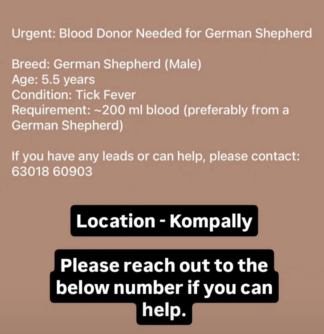 🚨 Urgent Blood Donor Needed for German Shepherd 🚨