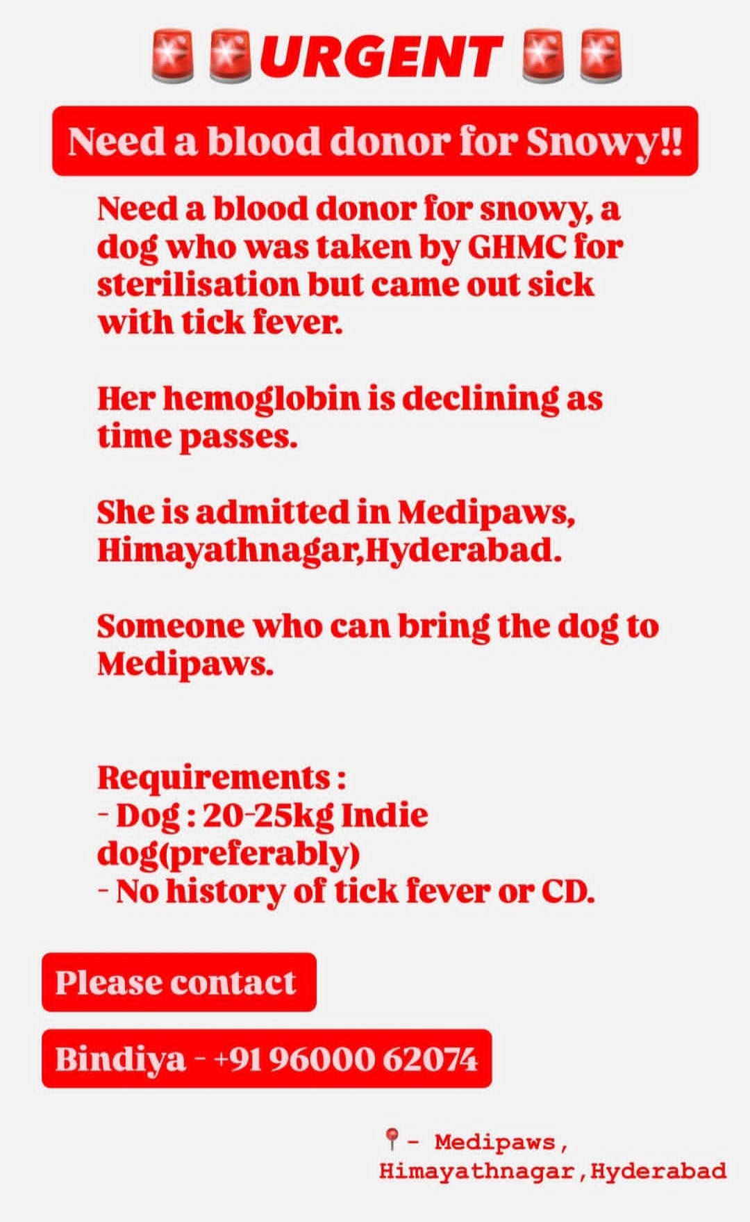 🚨 URGENT BLOOD DONOR REQUIRED FOR DOG “SNOWY” 🚨
