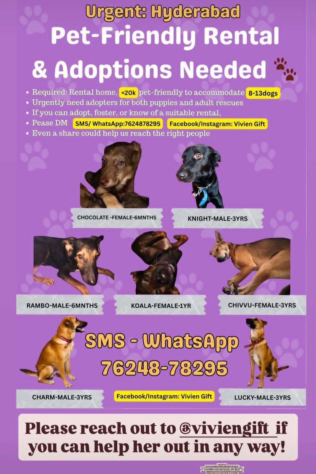 🚨 Urgent Help Needed – Hyderabad 🐾