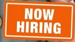 Walk-In Interview Opportunity