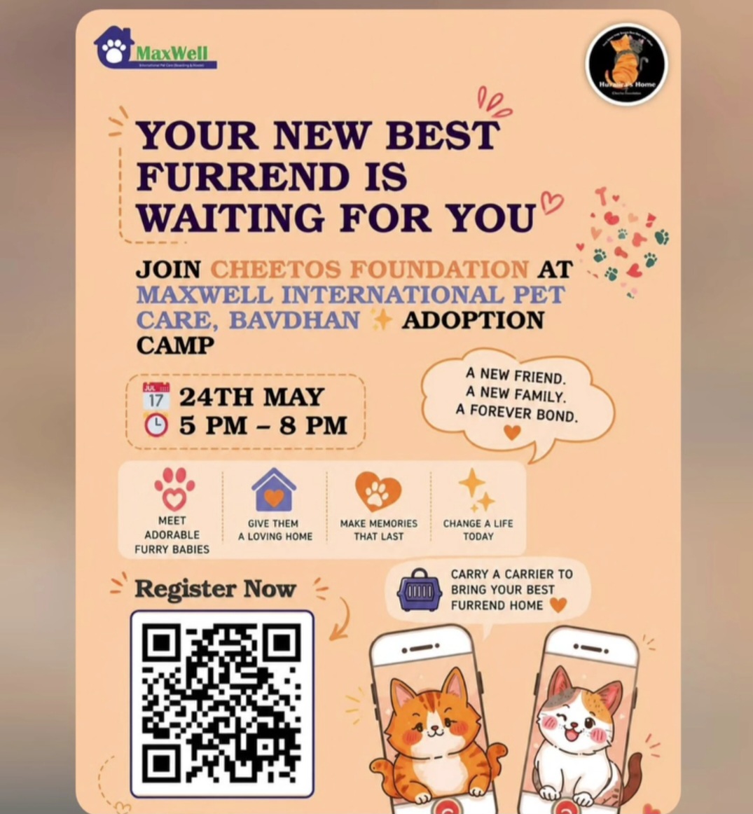 Your new best furry friend is waiting for you.