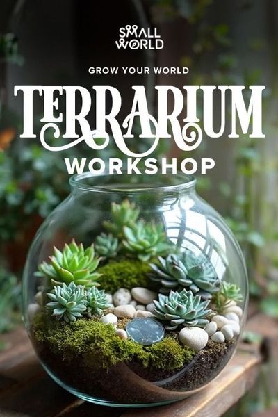DIY Terrarium Workshop: Create Your Miniature Green Haven 🌿🌱