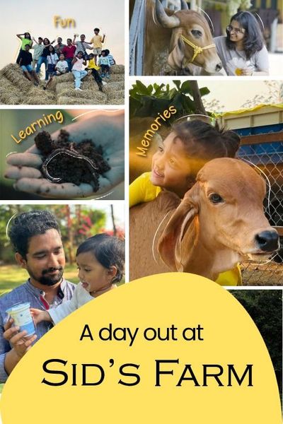 Farm Visit & Activities