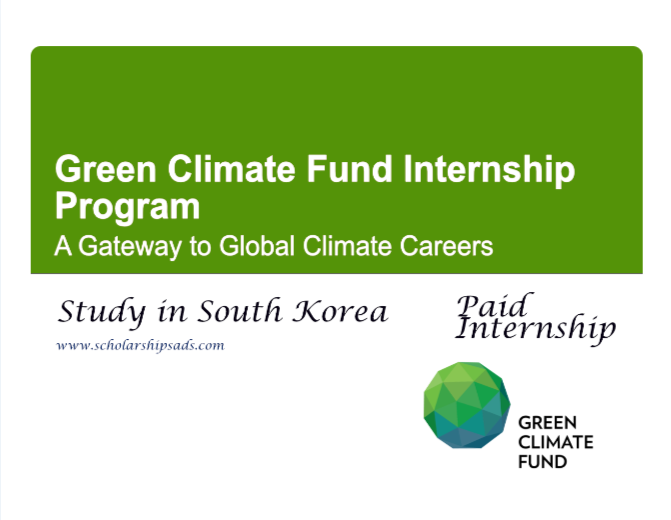 fund internship at south korea