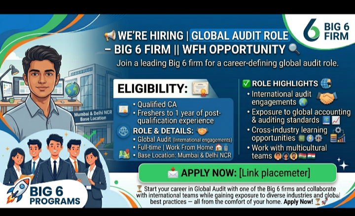Global Audit roles