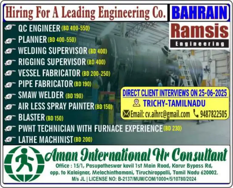 Ramsis Engineering – Direct Client Interview