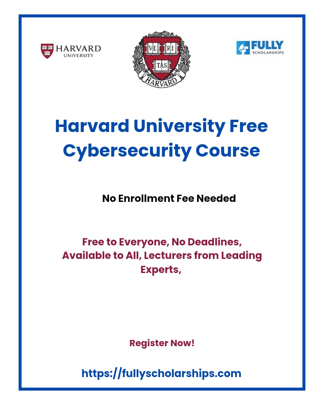 Ireland Government Scholarship 2026