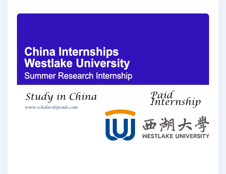 Research Internship 2026 – China