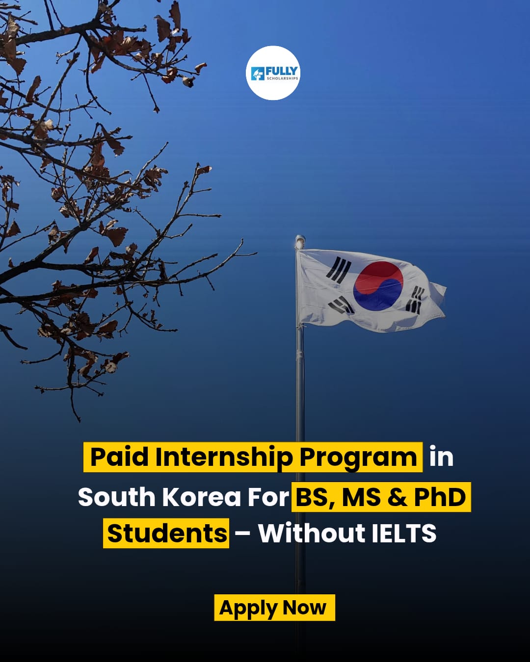 Scholarship for internship in south korea