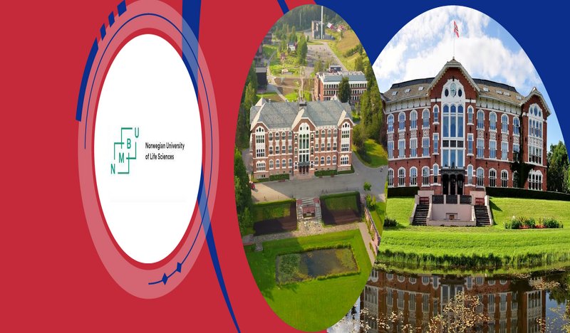 scholarship offer from Norway