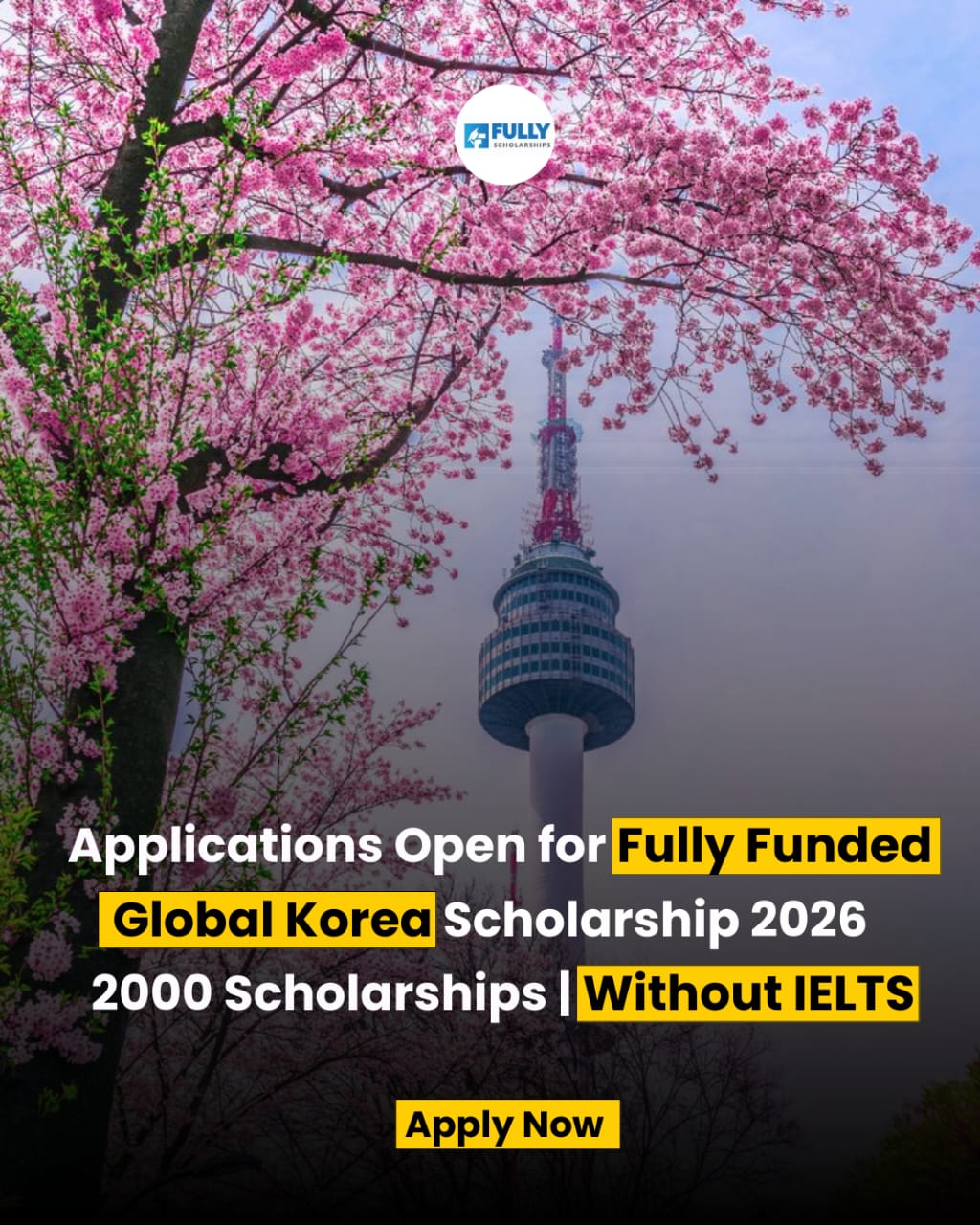 Scholarship offer from south korea